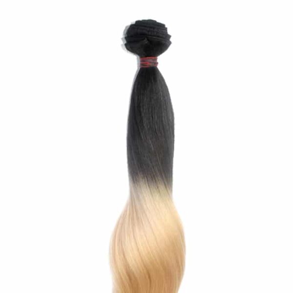 NTX082-Wefts-Hair-Extensions-24-inch-Ombre-Color-1B-22-60-5