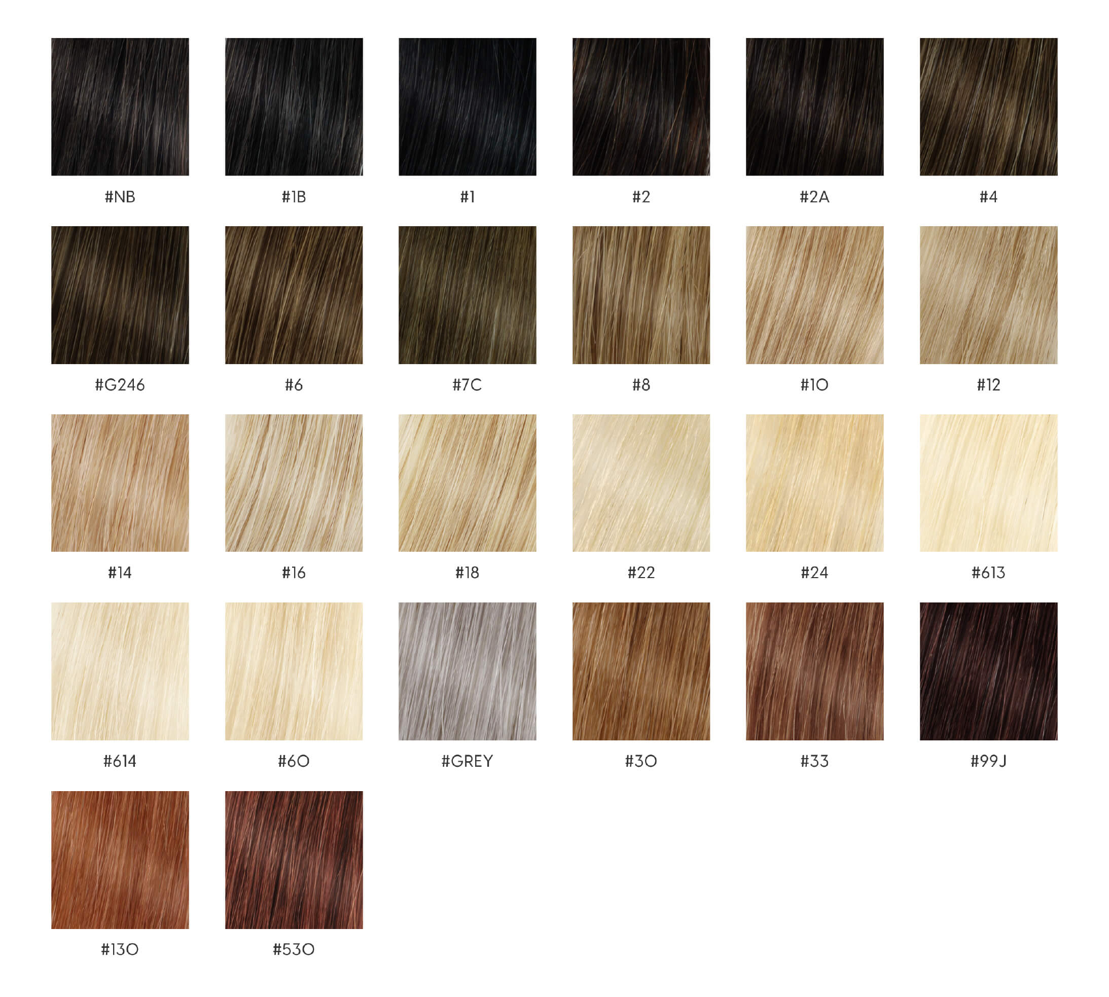 NT Women's Human Hair Color Chart